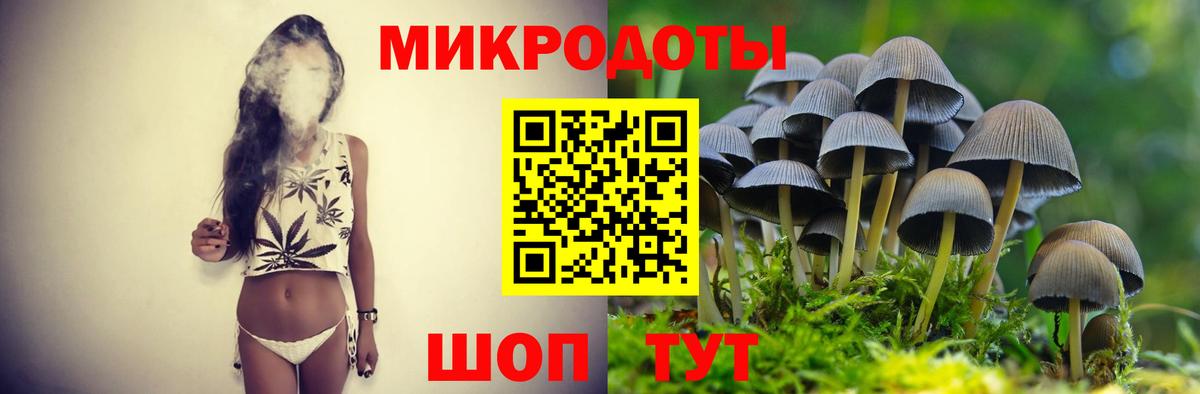 Камень-на-Оби  магазин    Вход с VPN  Галлюциногенные грибы ЛСД 